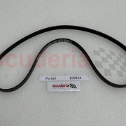 Water & Power Steering Belt for 