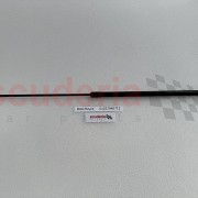 Gas pressurized spring, hood for 