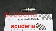 Maserati 239242
