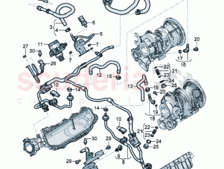 Photo of BOUCHON D TANCH IT…