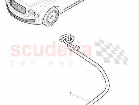 Photo of HARNAIS POUR BO TE GANTS LUMI RE D…