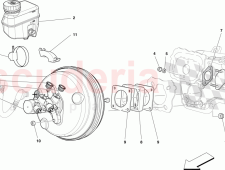 Photo of COLLIER DE SERRAGE…