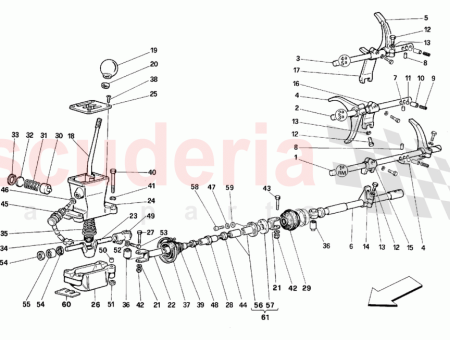 Photo of TIGE COMPL TE…
