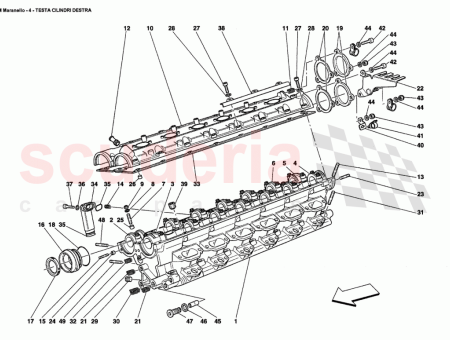 Photo of T TE DE V RIN DROITE COMPL TE…