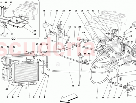 Photo of COLLIER DE VIS…