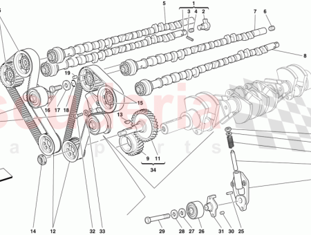 Photo of ACCOUPLEMENT SUR L ARBRE CAMES…