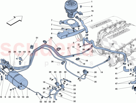 Photo of TUYAU EN CAOUTCHOUC…