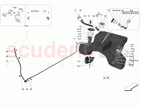 Photo of KIT BUSH…