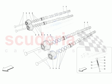 Photo of ARBRE A CAMES D ADMISSION GAUCHE…