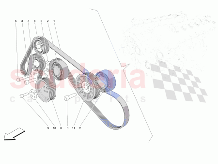 Photo of COURROIE…