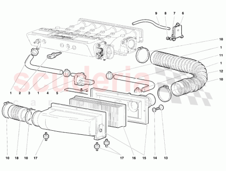Photo of BO TIER DROIT…