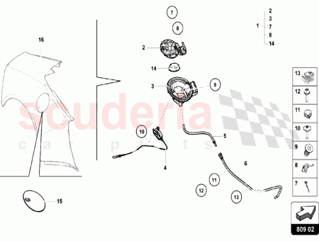 Photo of FICHE FEMELLE…