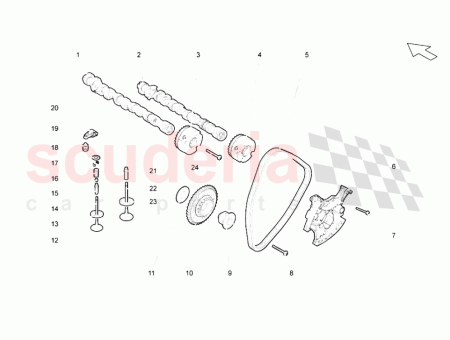 Photo of ARBRE CAMES D ADMISSION…