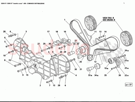 Photo of RONDELLE PLATE…