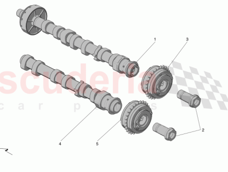 Photo of ARBRE A CAMES D ADMISSION GAUCHE…