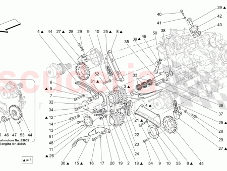 Photo of ROUE DENT E POUR ARBRE…