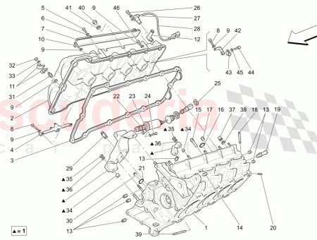 Photo of T TE LAT RALE DROITE COMPL TE…