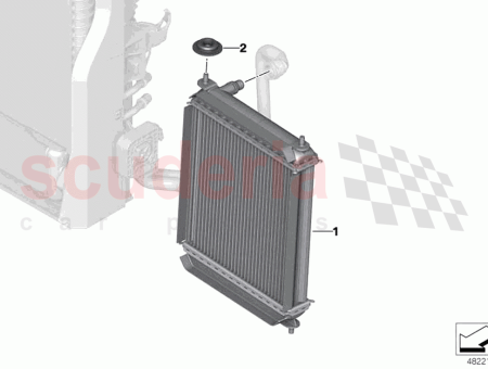 Photo of L MENT EN CAOUTCHOUC…