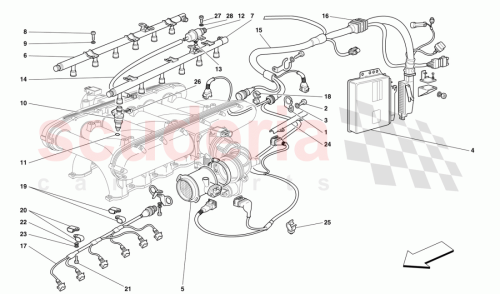 Part Diagram for Ferrari 161020